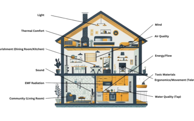 Creating a Healthy Home